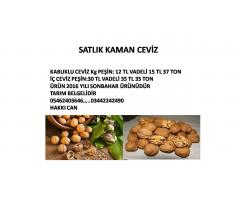 SATLIK KAMAN CEVİZ