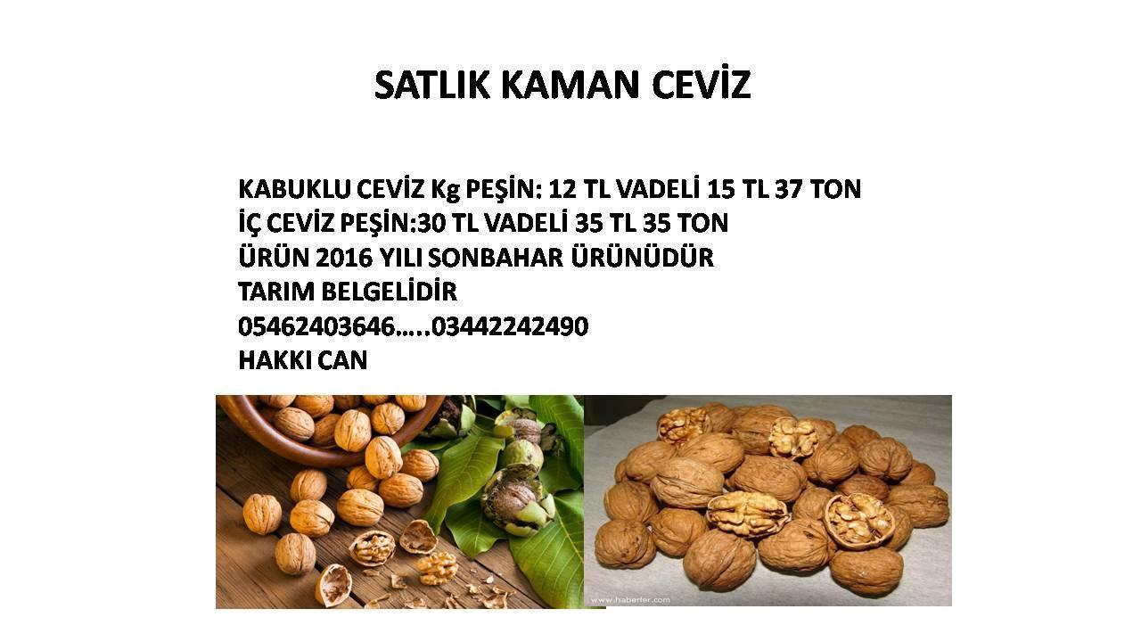 SATLIK KAMAN CEVİZ